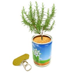 MacFowers | Plant-in-a-tin