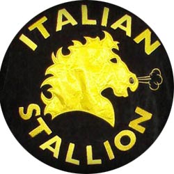 Italian Stallion Rocky Badjas Italian Stallion Badjas, officiële replica van de Rocky ochtendjas