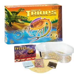 Triassic Triops Triassic Triops