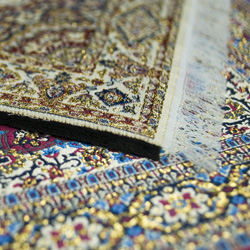 Close-up mouse carpet