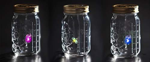My Pet Firefly - Gl&uuml;hw&uuml;rmchen im Glas