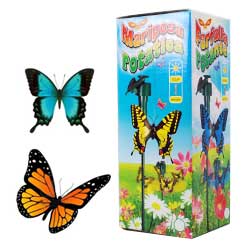 Solar butterfly