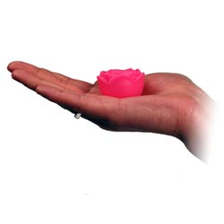 De Spa roses geven prachtig licht Floating Spa Roses