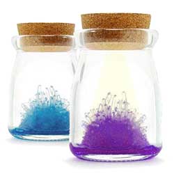 Das Crystal Wish Jar ist ein ganz besonderes Glas, mit dem du einen Kristall z&uuml;chten kannst.