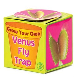 Vleesetende plant |  Venus Fly Trap