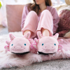 Axolotl Slippers