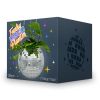 disco plantenpot