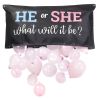 Gender Reveal Ballonnen Tas