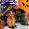 Reuze Tarantula Knuffel