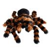 Reuze Tarantula Knuffel