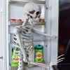 Human Size Skelet - Halloween