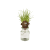 Meneer Grass Head