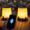 Open Air Play Bluetooth Speaker