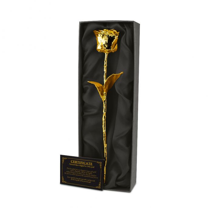 Gouden Roos - Gedipt in 24Krt Goud - Luxe Cadeauverpakking - Echtheidscertificaat - Golden Rose