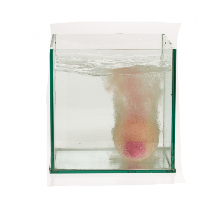 Bruisbal - borst - in water