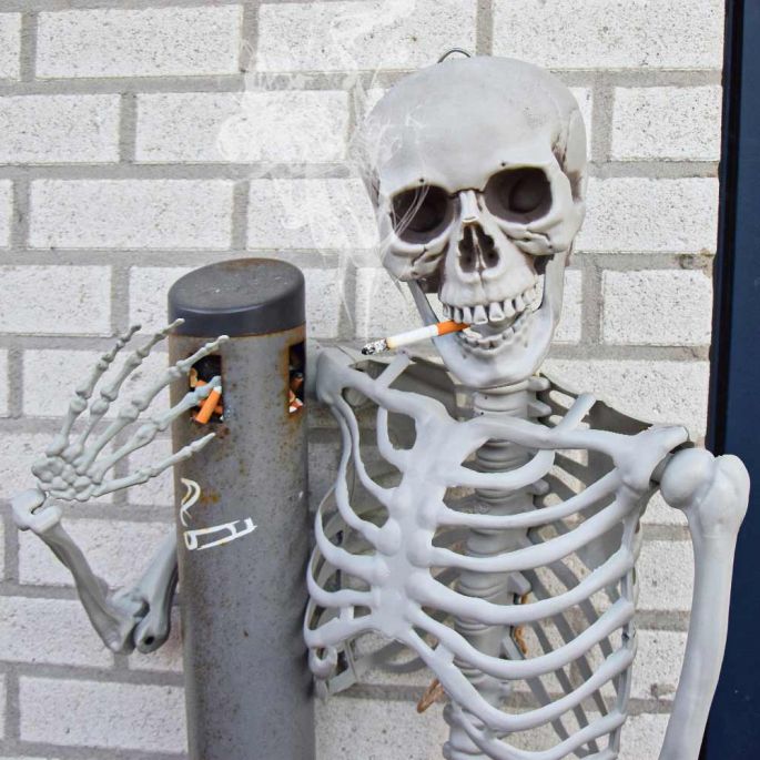 Human Size Skelet - 170cm - Realistisch Design - Halloween Decoratie - Levensecht Lijkend Skelet