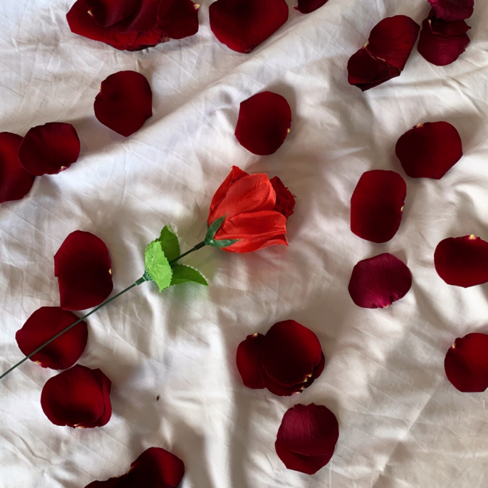 Romantisch roos cadeau met een vurige twist - rode G-string inbegrepen -