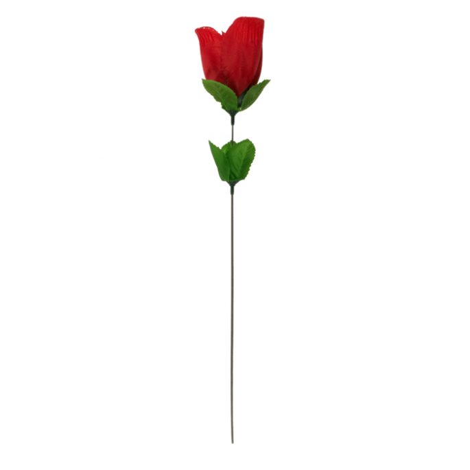 Roos met rode G-string - Één maat string - Rose with red G-string