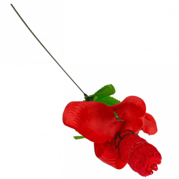 Roos met rode G-string - Één maat string - Rose with red G-string