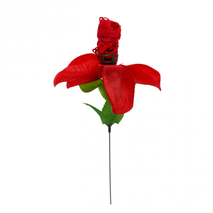 Roos met rode G-string - Één maat string - Rose with red G-string