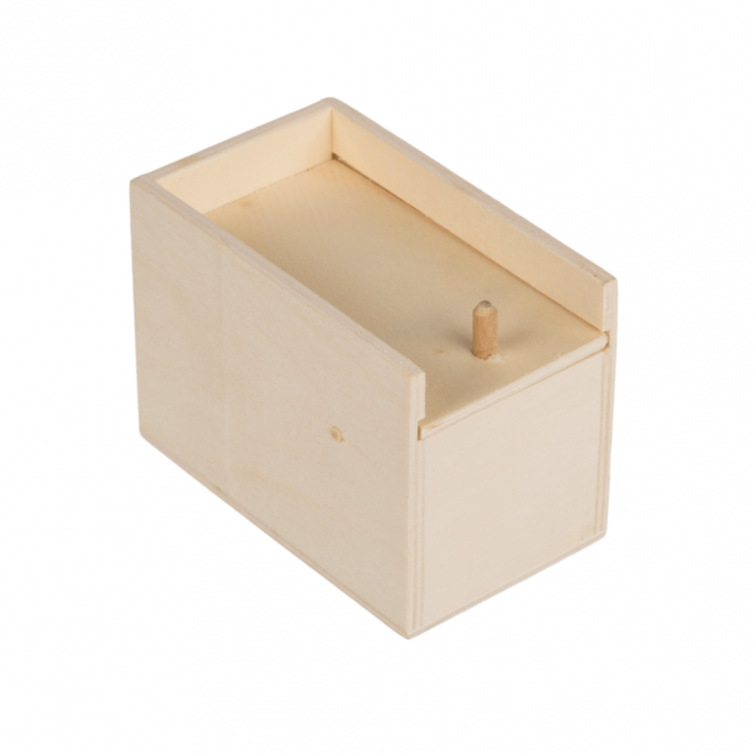 Spin in houten doos - Laat je vrienden schrikken - Scary spider box - gesloten doosje