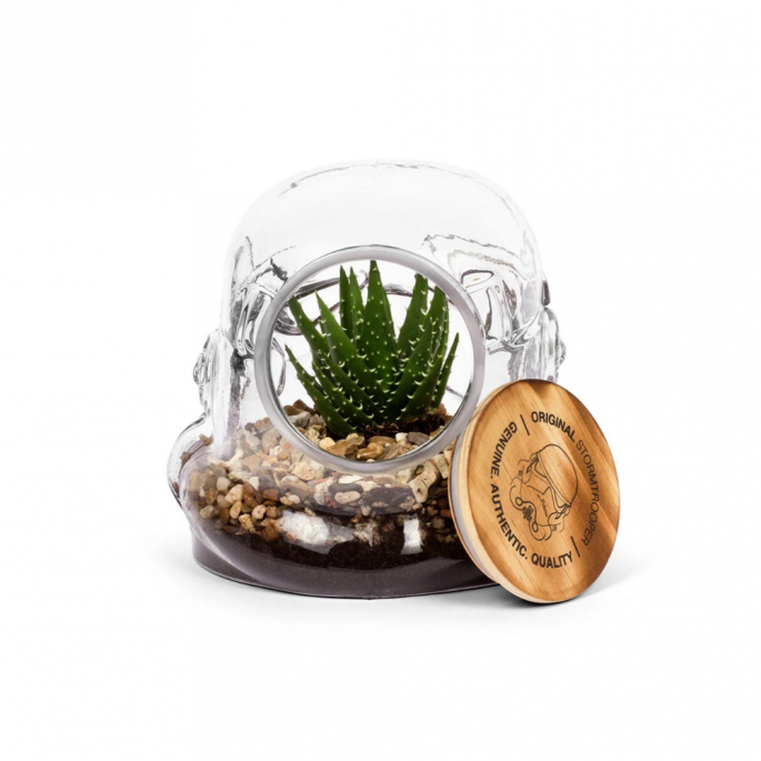 De perfecte opbergoplossing voor elke Star Wars liefhebber: de Stormtrooper Terrarium.