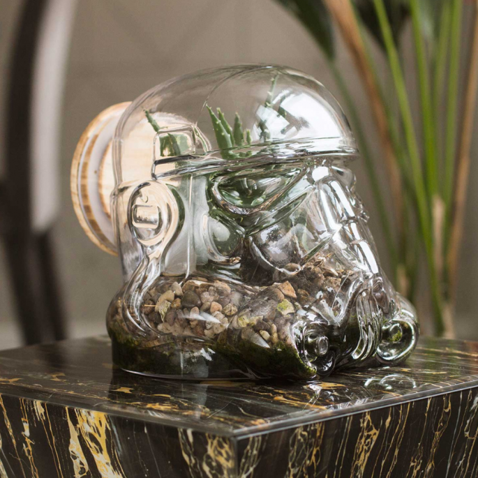 Een Stormtrooper Terrarium, een unieke koektrommel en voorraadpot in één!
