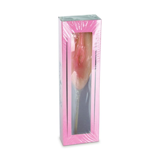 Vagina Lolly