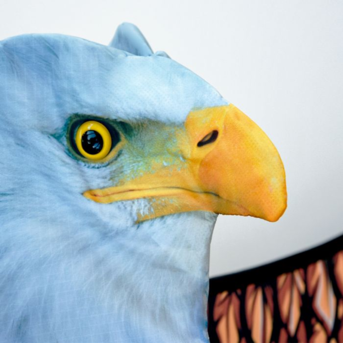 3D EAGLE KITE