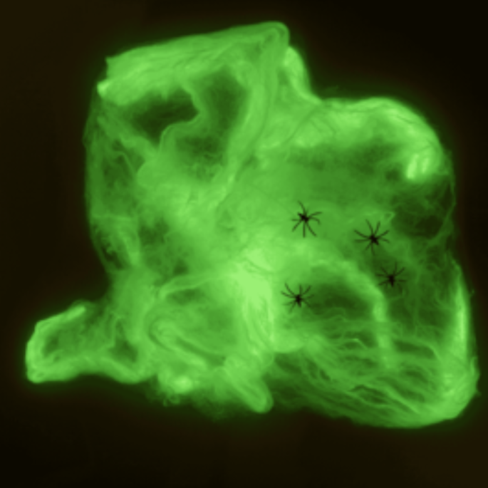 Spiderweb, Glow in the dark,