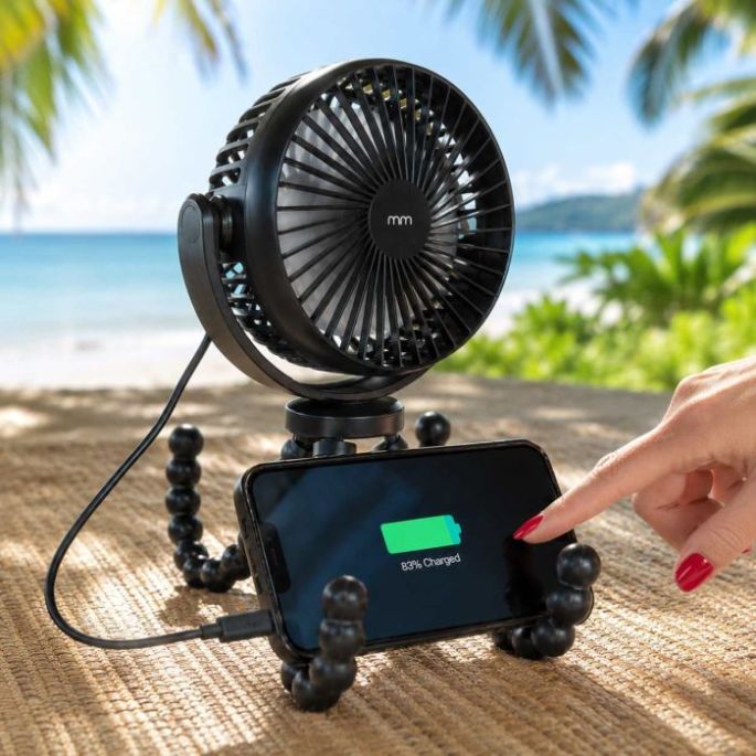 Flex Fan