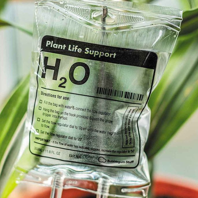 Watergeefsysteem Kamerplanten