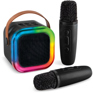 Karaoke Box - Inclusief Draadloze Microfoons