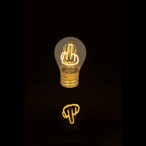 Light Bulb, middle finger 