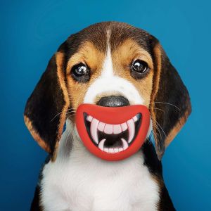 Hondenspeeltje – Vampiertanden