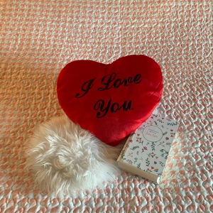 Rood kussen met de tekst 'I love you' - In de vorm van een hart - Perfect cadeau voor je geliefde