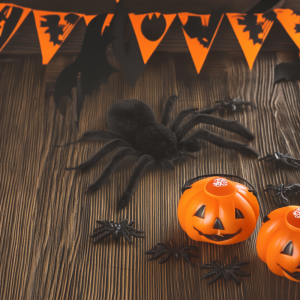 Halloween decoratie spinnen 