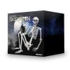 Human Size Skelet - 170cm - Realistisch Design - Halloween Decoratie - Levensecht Lijkend Skelet  
