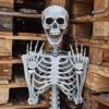 Human Size Skelet - 170cm - Realistisch Design - Halloween Decoratie - Levensecht Lijkend Skelet