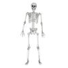 Human Size Skelet - 170cm - Realistisch Design - Halloween Decoratie - Levensecht Lijkend Skelet