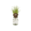 Meneer Gras Hoofd - Grass Head 