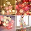 Romance Rose Lights - Realistische schuimrozen -  20 LED-lampjes  - Romantische Verlichting - LED Verlichting