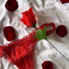 Een roos voor romantiek en een rode G-string voor verleiding - de perfecte combinatie - Close-up - 