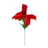 Roos met rode G-string - Één maat string - Rose with red G-string