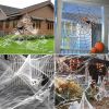 XXL Spin Halloween Decoratie