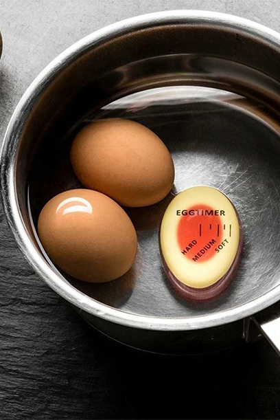 Fool Proof EggTimer