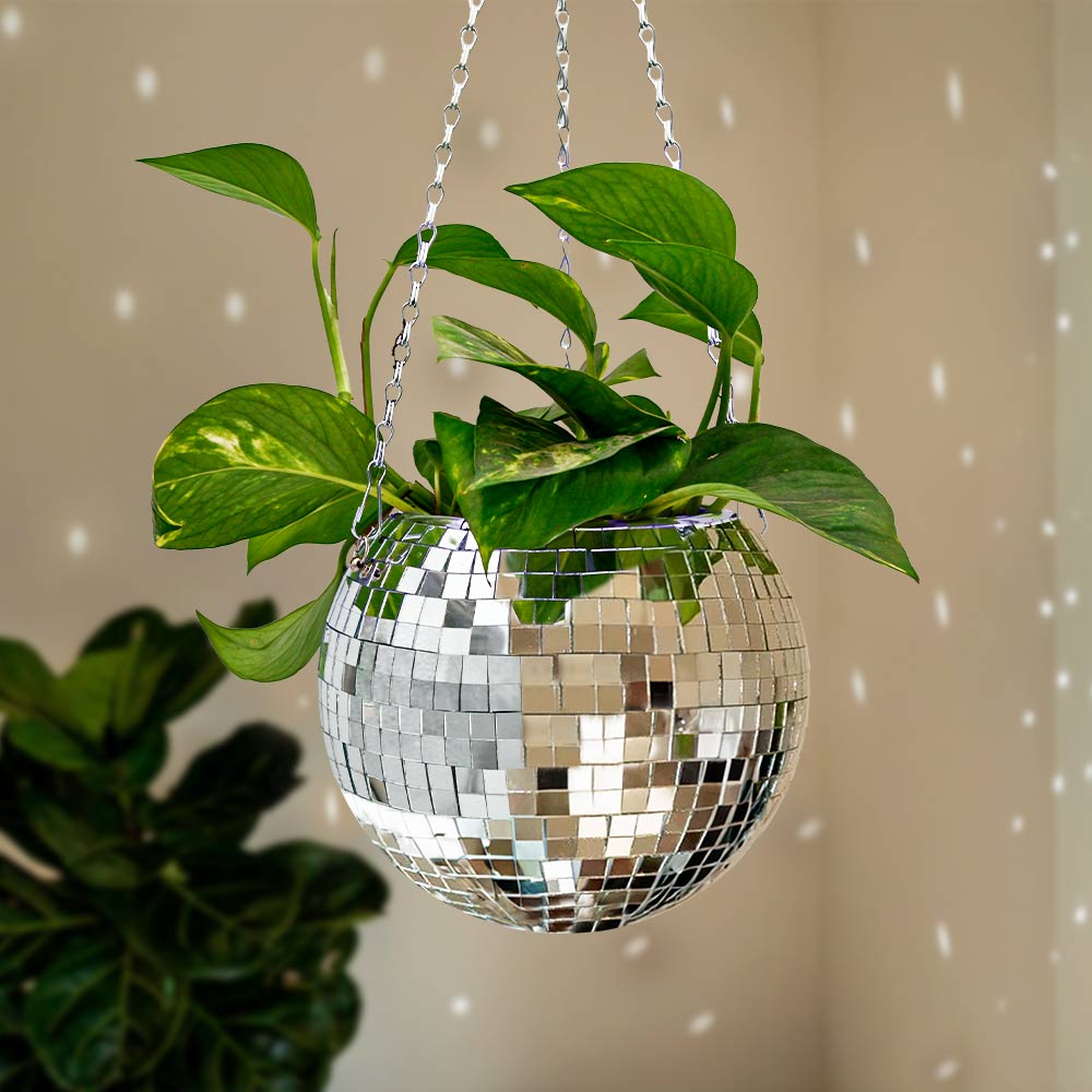 Funky Disco Planter 13 x 18 x 20 cm Plantenbak Disco plantenbak Grappige plantenbak Vrolijke toevoeging voor je interieur