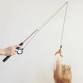 Dagaanbieding - Vishengel Kattenspeeltje dagelijkse aanbiedingen