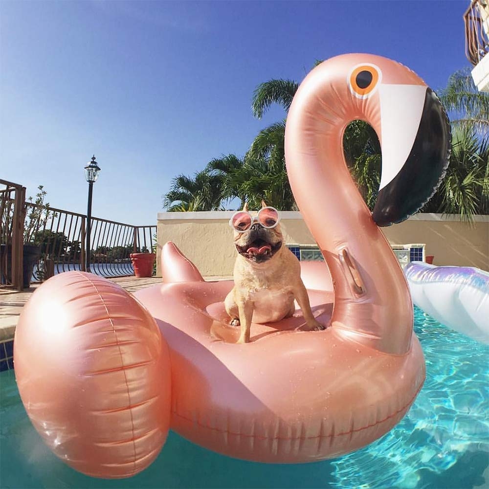 Opblaasbare Flamingo 1.85m