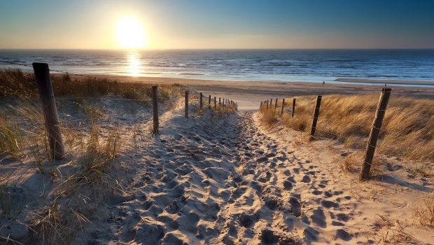 Zomervakantie activiteit strand | MegaGadgets